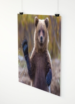 Ihr Foto als Poster 40x40cm
