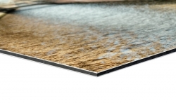 5 Stck Aludibond-Schild Direktdruck 160x90cm (einseitiger Druck)